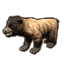 Sunback Bear Cub icon